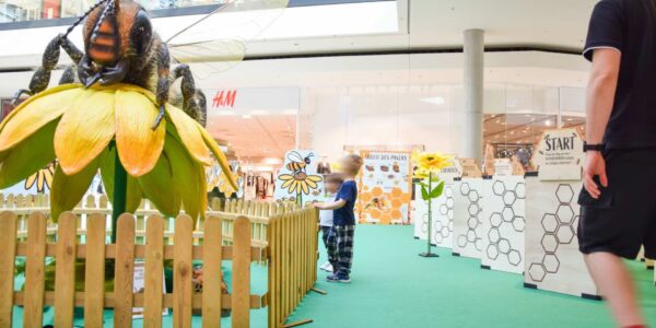 Childrens-Exhibitions-For-Shopping-Centres.jpeg