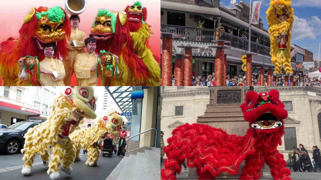 Four different lion dancers hired for Chinese New Year celebrations including red and gold colours.