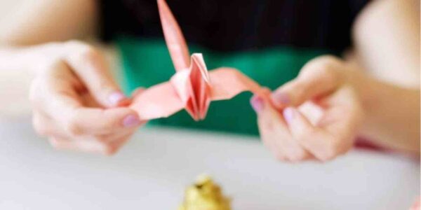 Origami Artist Entertainer