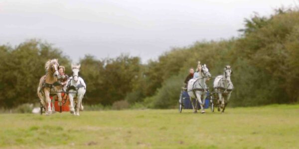 Roman Stunt Show for Events