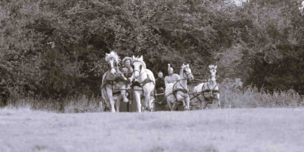 Roman stunt performers