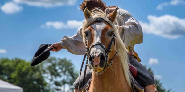 Book Highwayman arena show