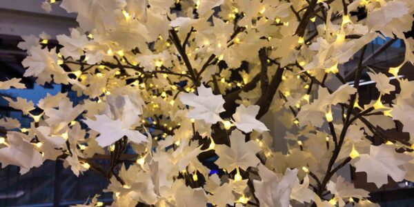 Pretty LED tree props that can be installed a party of your Enchanted garden theme.