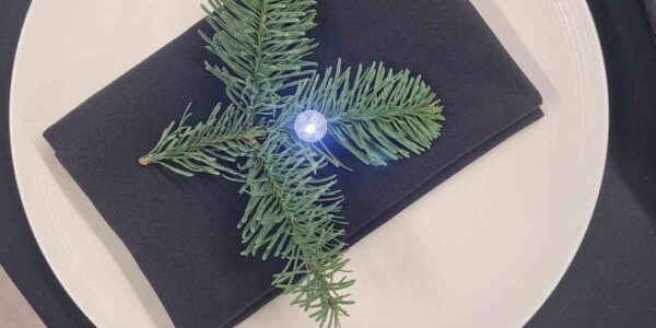 Forest themed table design ideas available for Enchanted forest themed events.