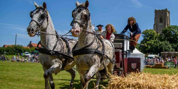 Hire immersive stunt shows
