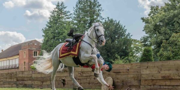Medieval-Jousting-Display-Community-Events