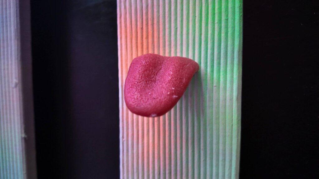 Stick tongue picket fence wall used for a circus event theme.