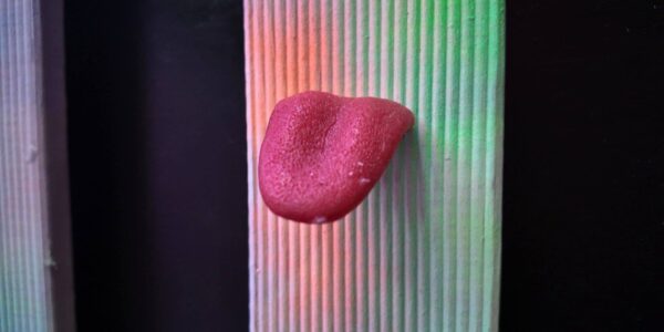 We designed a unique sticky tongue picket fence wall as a sensory installation to evoke laughs at this Circus themed event.