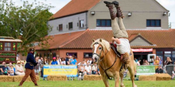 immersive stunt shows