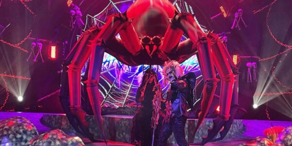 Bespoke-Puppet-Halloween-Spider-Stage-Design.jpg