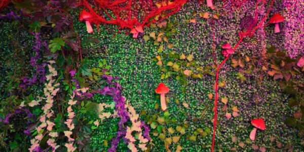 We designed and created this vertical garden display featuring ivy, flowering vines, red toadstools.