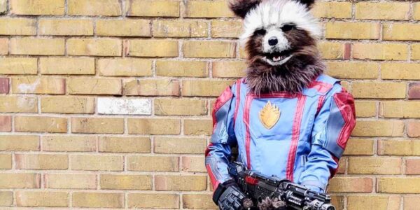 Hire Rocket Raccoon