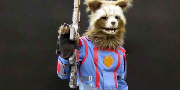Rocket Raccoon
