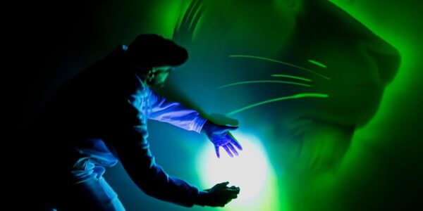 Light-Painting-Show-Festivals
