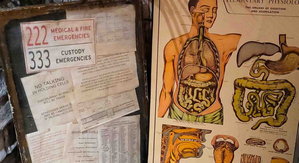 A chilling medical poster of human anatomy, accompanied by disturbing descriptions, heightens the sense of unease and madness in the Asylum theme.