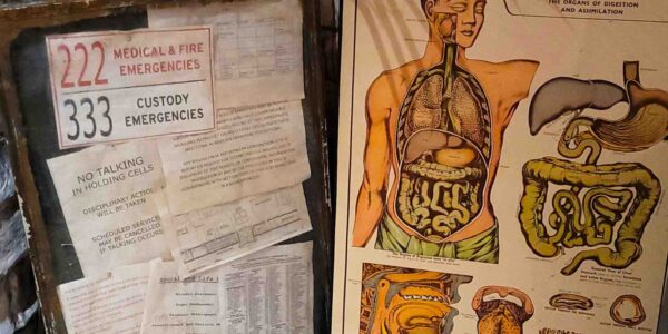 medical poster displaying the insides of a person, paired with chilling descriptions, adds a gruesome touch to the Asylum-themed horror experience.