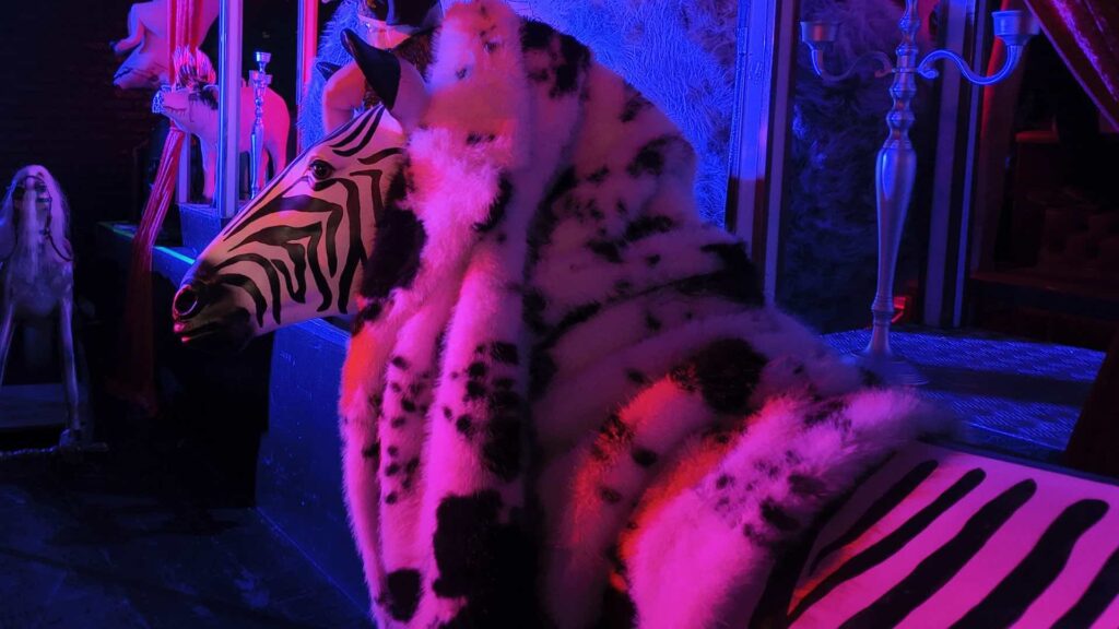 Zebra prop with layered coats and theming, used for corporate festival events as an abstract and obscure prop.