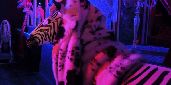 Crazy-Festival-Themed-Animal-Staging-And-Props