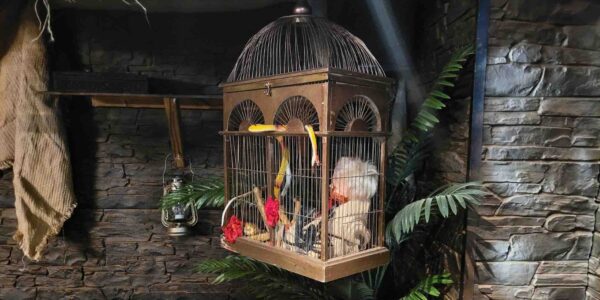 Hanging golden bird cage with creepy doll prop inside for an Egyptian theme Halloween event.