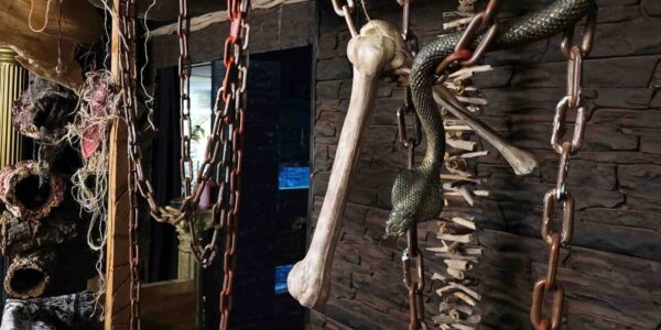 Bone props and relics used as event decor for an Egypt theme marketplace installation.
