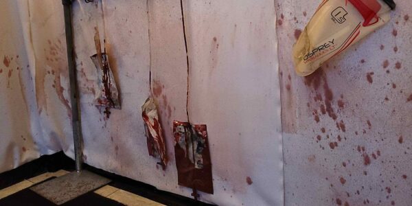 anging IV drip bags filled with blood create a disturbing, clinical atmosphere, enhancing the nightmarish intensity of the Asylum-themed event.