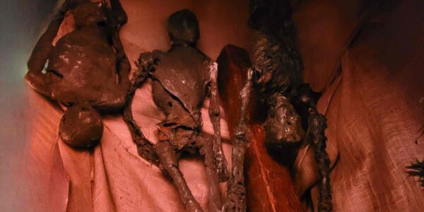 Mummified props hanging from ceiling, part of a bespoke Halloween design.