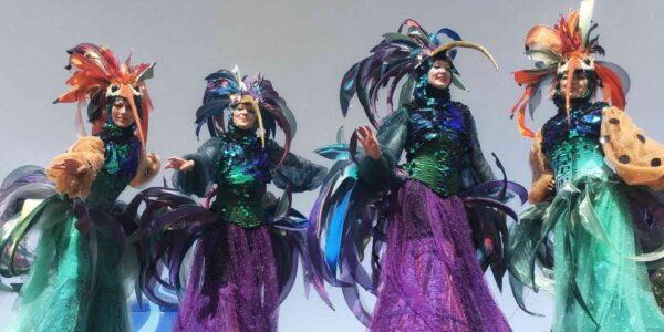 Hummingbird-Walkabout-Act-festivals