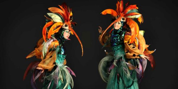Hummingbird-Walkabout-Act-public-events