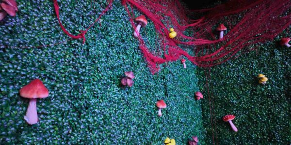 Our team can repurpose any wall indoors our out with mushroom inspired theming perfect for a festival themed event!