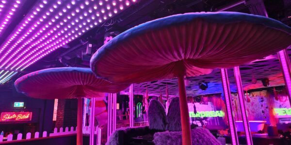 We can install bespoke props for your festival theming and styling such as the giant mushrooms pictured here.