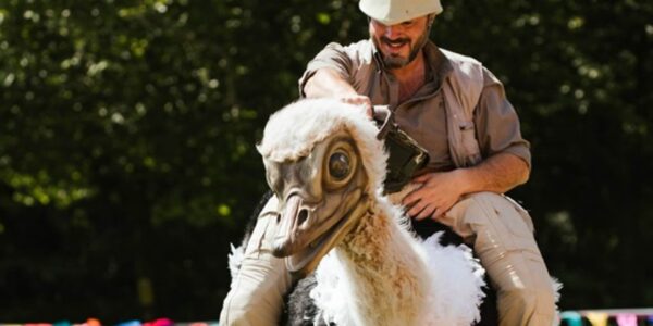 Ostrich-Walkabout-Act-outdoor-summer-events