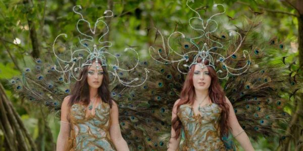 Peacock-Walkabout-Performers-Spring-and-Summer