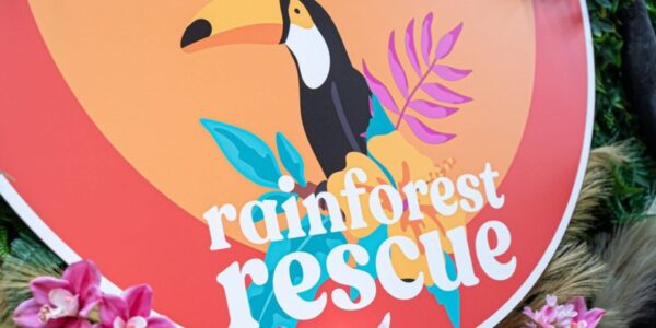 Rainforest-Interactive-Activation-Shopping-Centre-Events