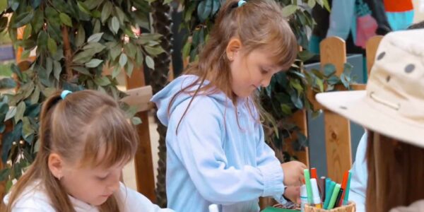 Rainforest-Interactive-Activation-Summer-Events