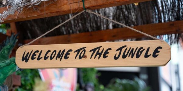 Rainforest-Interactive-Activation-Sustainable-Events