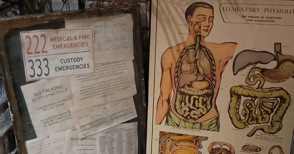 Old medical posters and various written notes compiled together on a board as part of an old abandoned Asylum theme for a Halloween venue transformation.