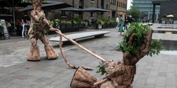 Comedy-Walkabout-Trees-Festivals