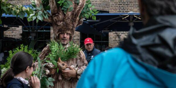 Comedy-Walkabout-Trees-company-fun-days