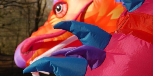 Giant-Dragon-Puppet-chinese-new-year