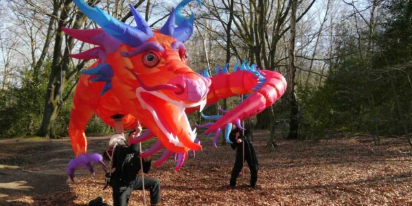 Giant-Dragon-Puppet-festivals