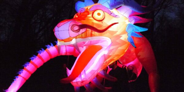 Giant-Dragon-Puppet-parade-events