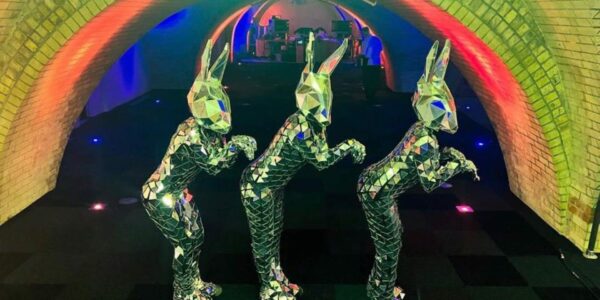 Mirror-Costume-Acts-Animal-Walkabout