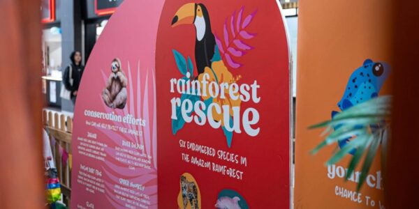 Rainforest-Interactive-Activation-Zoo-Events