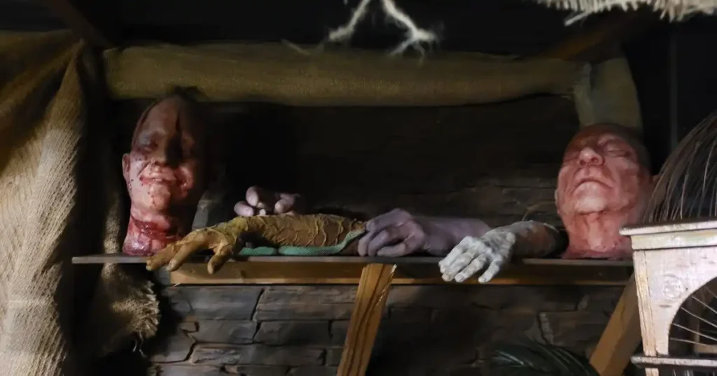 Gruesome dissected head props on a shelf, used as part of a Halloween set design.
