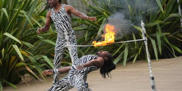 African-Themed-Acrobatic-Show-Outdoor-Events
