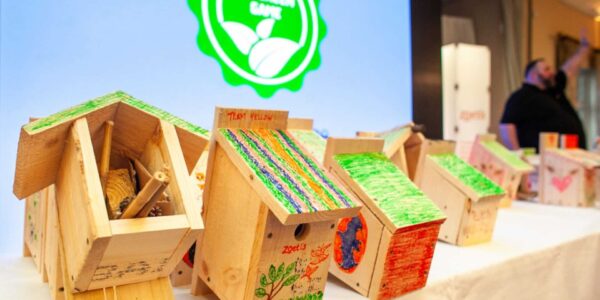 Green-Team-Building-Activity-Eco-Friendly