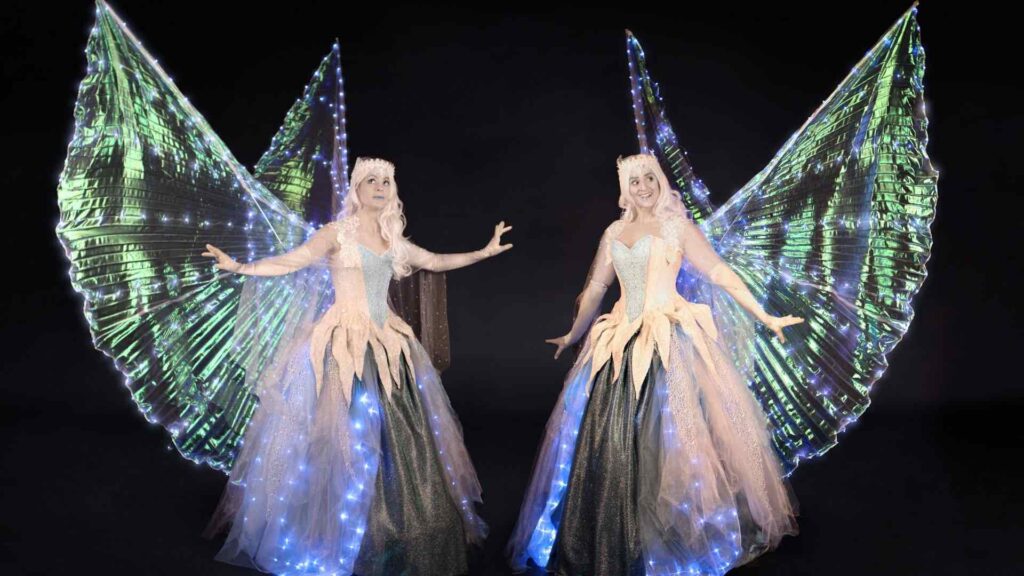 LED fairies lighting up with beautiful wings and costume.