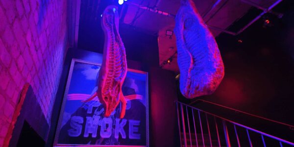 Halloween Nightclub Scenic Installation