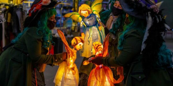 Illuminated-fairy-puppet-show-intricate-glowing-puppets