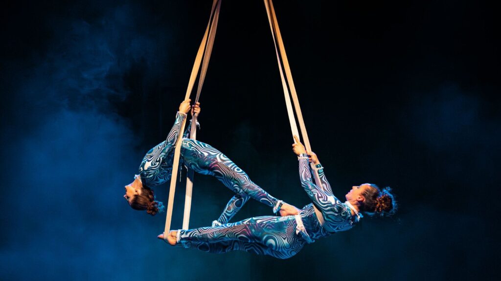 Ocean themed aerial acrobats performing at a themed luxury event. 